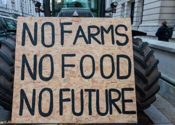 British farms at breaking point as food production no longer pays, damning report warns