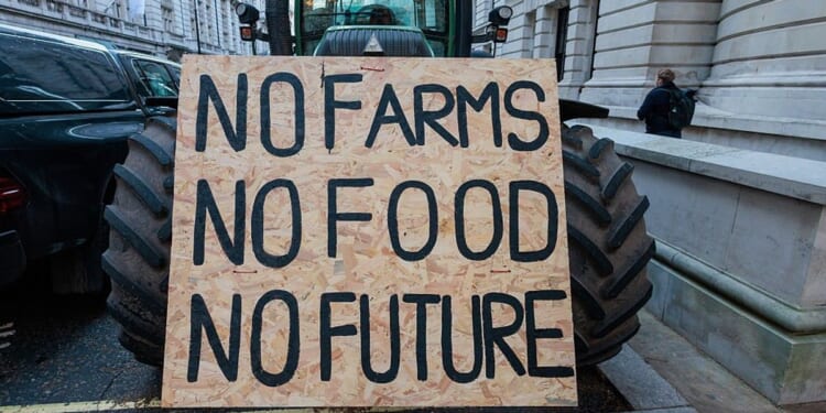 British farms at breaking point as food production no longer pays, damning report warns