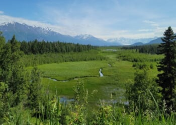 New Study Showing Minimal Impact on Caribou Range – RedState