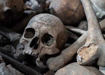 Documentary about charnel house next to Worcester Cathedral is released to public