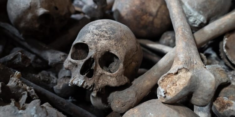 Documentary about charnel house next to Worcester Cathedral is released to public