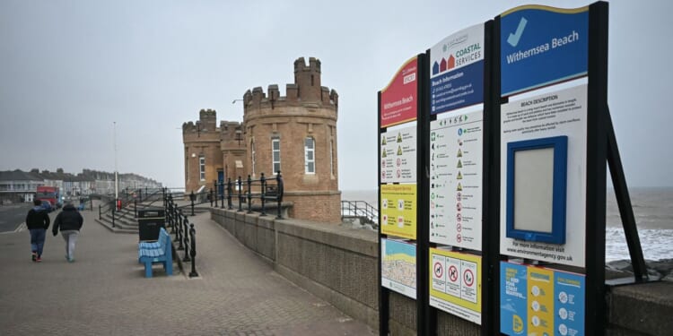 Tragedy as desperate mum was just 'inches from saving daughter after diving into sea' to rescue her before both getting swept out