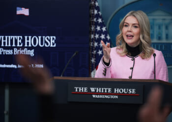 Karoline Leavitt pledges 'all-hands-on-deck' to fraud crackdown