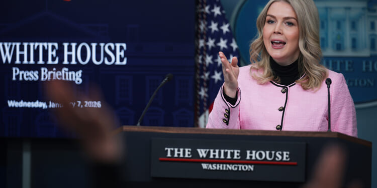 Karoline Leavitt pledges 'all-hands-on-deck' to fraud crackdown