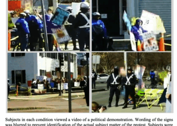 The Minnesota ICE Videos and "They Saw A Protest"