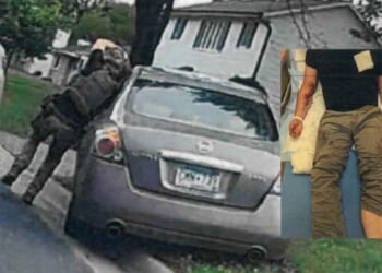 How ICE Agent Who Shot Minneapolis Woman Handled Previous Ramming By An Illegal Immigrant Pedophile