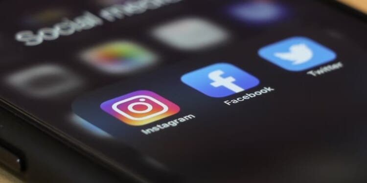 OnlyFans models among growing number of visa applicants