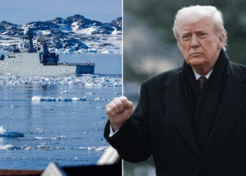 Greenland: Donald Trump vows America will own Arctic territory