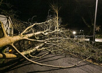 Man dies after tree falls on caravan as 99mph Storm Goretti winds battered Britain