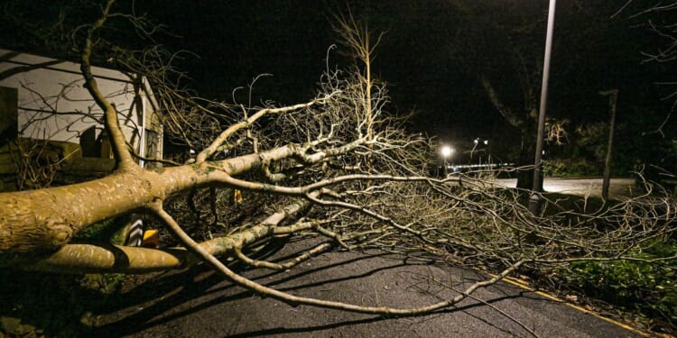 Man dies after tree falls on caravan as 99mph Storm Goretti winds battered Britain