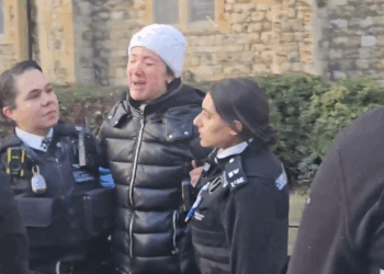 Woman handcuffed by SIX police officers and fined £100 for 'feeding pigeons'
