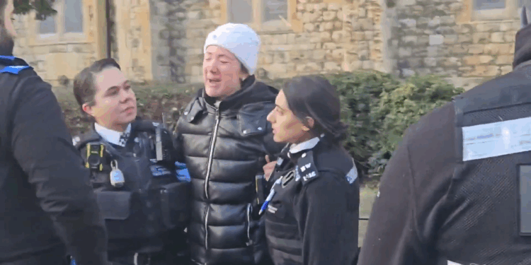 Woman handcuffed by SIX police officers and fined £100 for 'feeding pigeons'