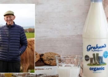 Graham's Family Dairy boss reveals how he grew his enterprise on TikTok