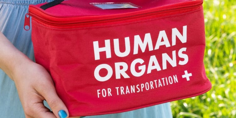 Comedy gift shop that faced down woke mob over 'offensive' lunchbox celebrates 'stronger than ever' sales