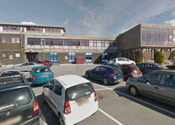 Academic 'stripped of title' after criticising critical race theory that claims racism is embedded in every structure of society