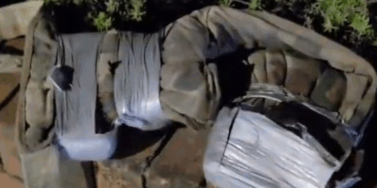 Police and bomb squad descend on Sydney street after man spotted wearing suspicious vest