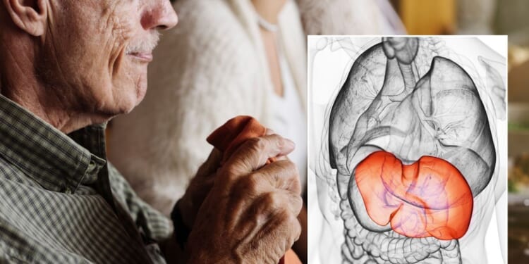 Scientists issue warning over 'striking' link between meal timing and condition