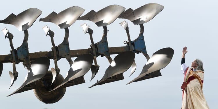 Photo stories of the week