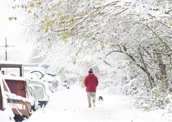 Met Office gives verdict on Beast from the East alert with long-range forecast | Weather | News