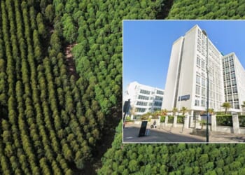 Three men plead guilty to tree planting pension fraud which made £70million