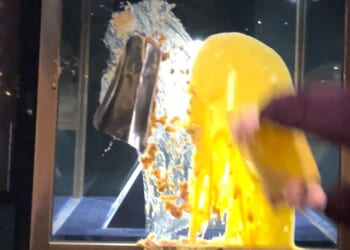 Left-wing activists that targeted the Crown Jewels with custard ‘plan mass shoplifting at Waitrose’