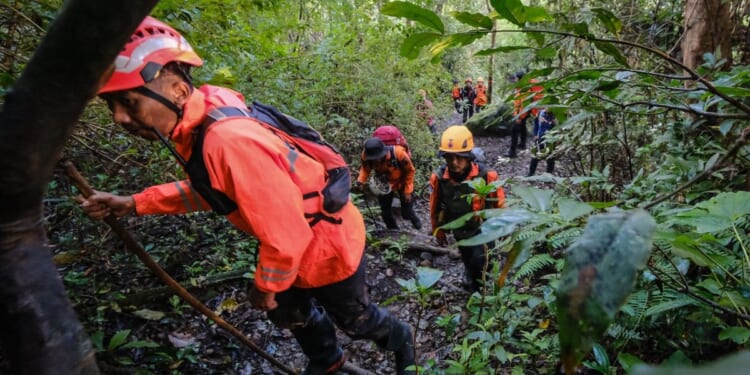 Missing aircraft FOUND as rescuers scour wreckage