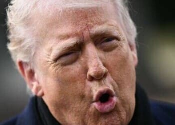 Canada vows to defend Greenland against the US if Trump invades | US | News