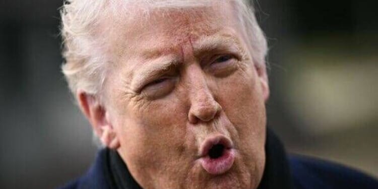 Canada vows to defend Greenland against the US if Trump invades | US | News