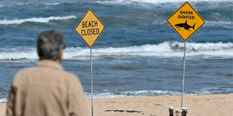 Experts reveal 'disgusting' reason behind city's three horror bites in 24 hours