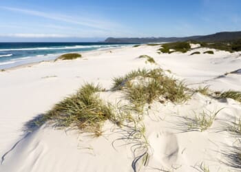 Scientists find space signals inside Australian beach sand