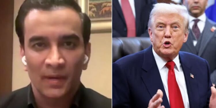 Security expert blasts 'abomination' deal and hails Donald Trump for 'doing the UK a huge favour'