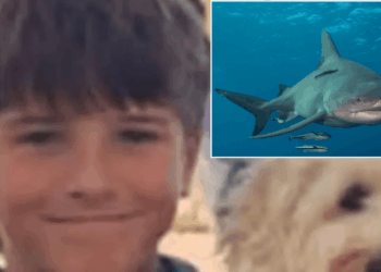 Schoolboy, 12, 'will never wake up again' after mauling left him 'brain dead'