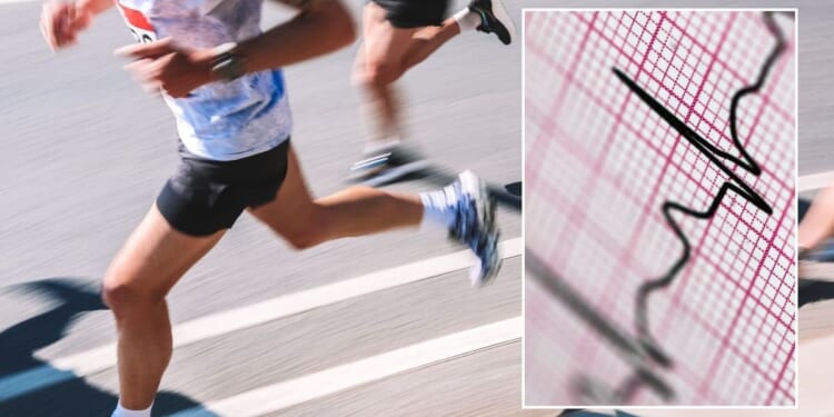 'Combining activities' could be key to a longer life, scientists say