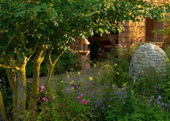 Faith for Holy Places