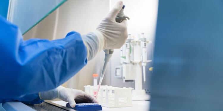 Science breakthrough as biologists team up to write genetic code of virus that destroys killer bacteria