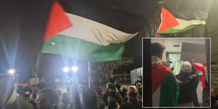 Police arrest 86 Palestine Action activists for 'trespassing into high-security prison'