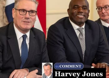 David Lammy has lost his mind – even more deluded than Keir Starmer | Personal Finance | Finance