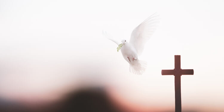 The charismatic movement needs drastic reformation