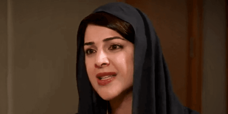 UAE cabinet minister explains to Nigel Farage how country has stopped 'rotten' Islamist radical extremism in its tracks