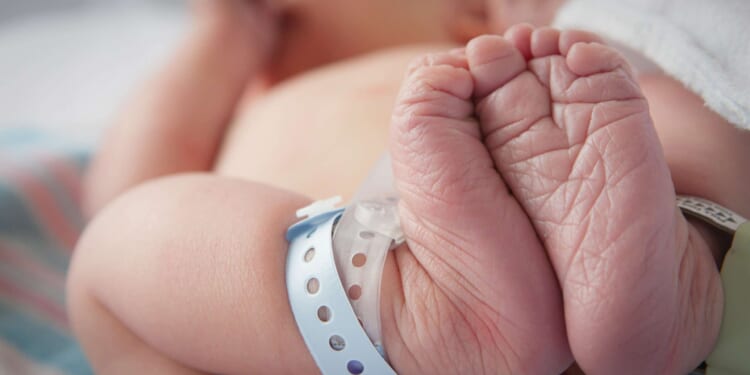 Brickbat: Won't Make the Cut