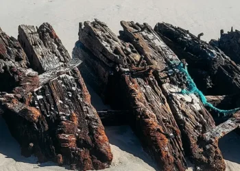 Shipwreck from Victorian-era resurfaces in New Jersey as Americans issued warning about approaching vessel
