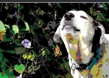 A Roland Colonnade by David Bentley Hart