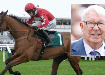 Alex Ferguson's horse dies in tragic fall at iconic British venue as statement released
