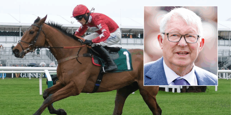 Alex Ferguson's horse dies in tragic fall at iconic British venue as statement released