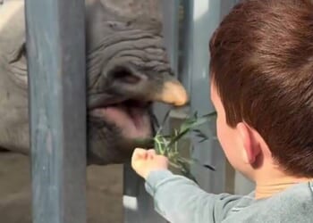 Archie's accent heard in Meghan's Instagram in sweet post | Celebrity News | Showbiz & TV