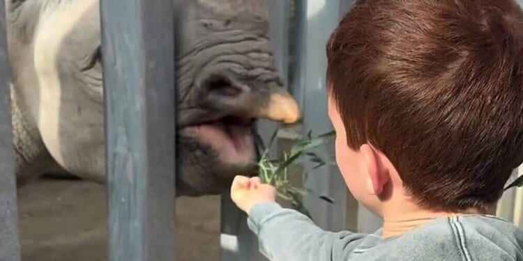 Archie's accent heard in Meghan's Instagram in sweet post | Celebrity News | Showbiz & TV