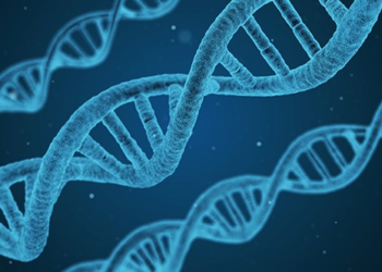 Because What the World Really Needs Is a Hairy Elephant With an Identity Crisis – RedState