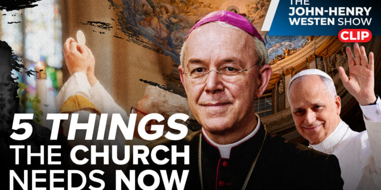 Bishop Schneider’s PLEA to Pope Leo