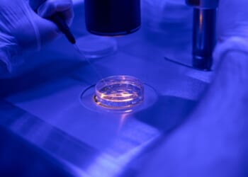 'Brave New World': IVF company’s eugenics tool lets couples pick ‘best’ baby, discard the rest