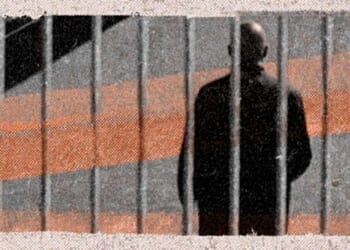 Brickbat: Some Horseplay